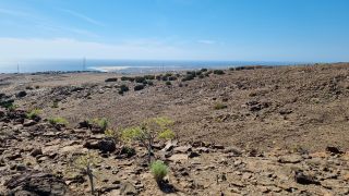 2024-02-GranCan-Playa Del Aguila-Trek-60.jpg